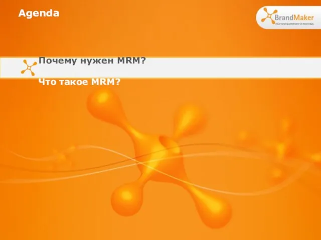 Agenda Почему нужен MRM? Что такое MRM?