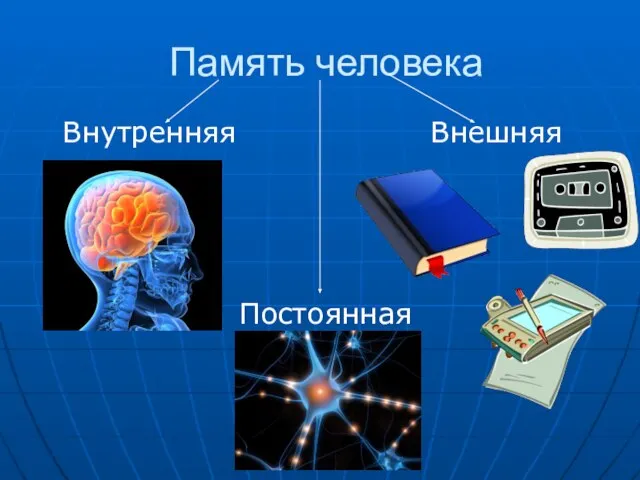 Память человека Внутренняя Внешняя Постоянная