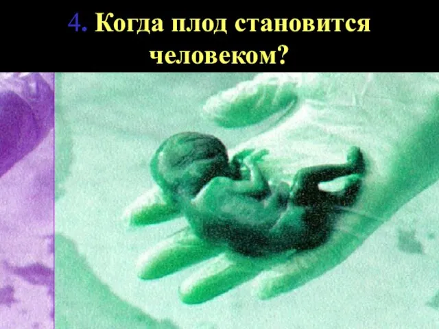 4. Когда плод становится человеком?