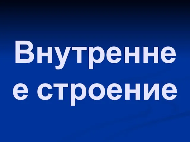 Внутреннее строение