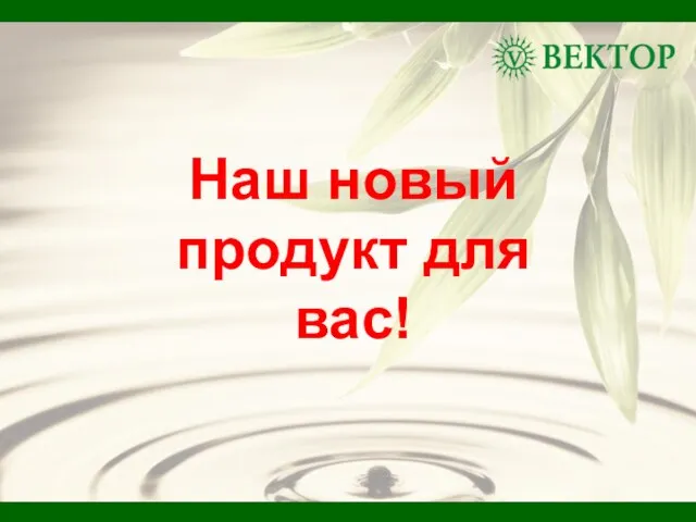 Наш новый продукт для вас!