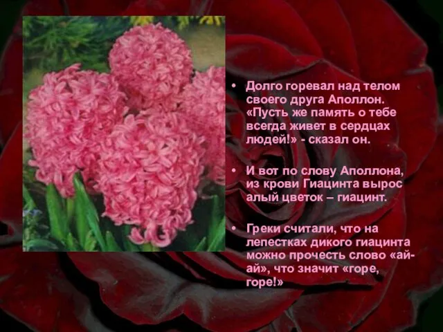 Долго горевал над телом своего друга Аполлон. «Пусть же память о тебе