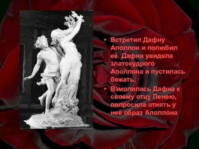 Встретил Дафну Аполлон и полюбил её. Дафна увидела златокудрого Аполлона и пустилась