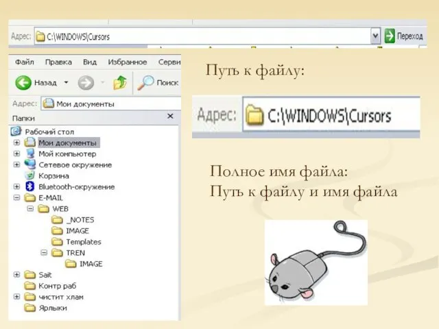 Путь к файлу: Полное имя файла: Путь к файлу и имя файла