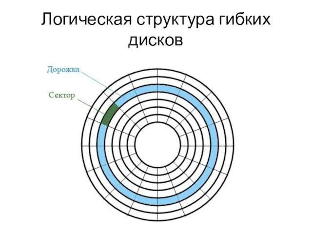 Логическая структура гибких дисков