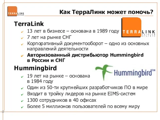 Как ТерраЛинк может помочь? TerraLink 13 лет в бизнесе – основана в