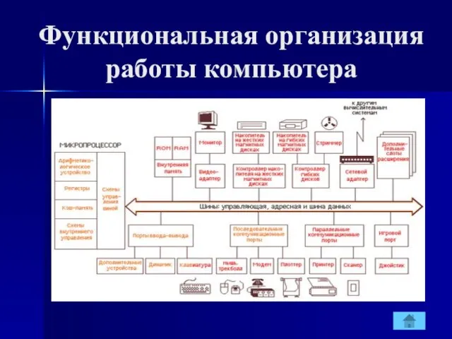 Функциональная организация работы компьютера