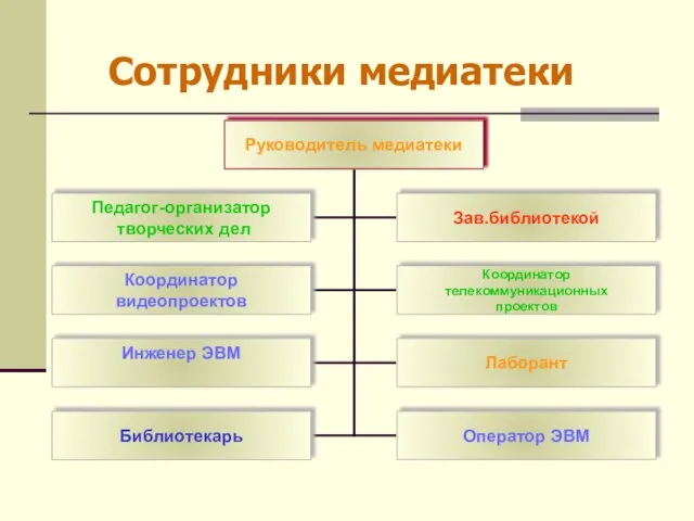 Сотрудники медиатеки