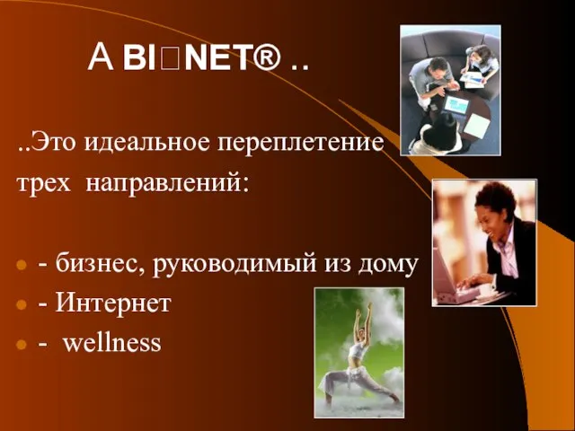 A BI?NET® .. ..Это идеальное переплетение трех направлений: - бизнес, руководимый из