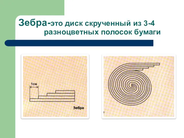 Зебра-это диск скрученный из 3-4 разноцветных полосок бумаги