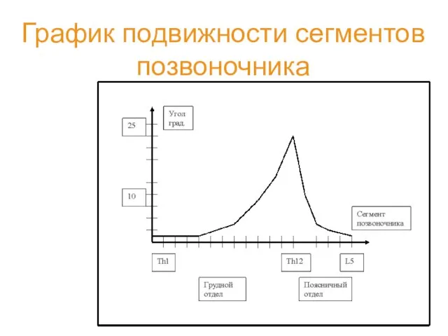 График подвижности сегментов позвоночника