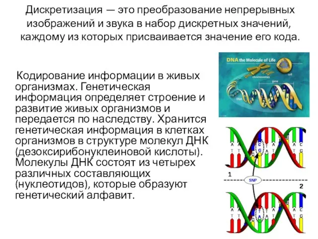 Дискретизация — это преобразование непрерывных изображений и звука в набор дискретных значений,