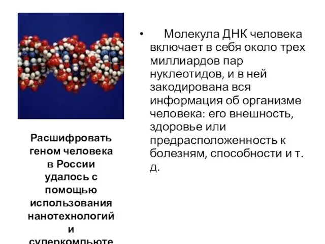 Молекула ДНК человека включает в себя около трех миллиардов пар нуклеотидов, и