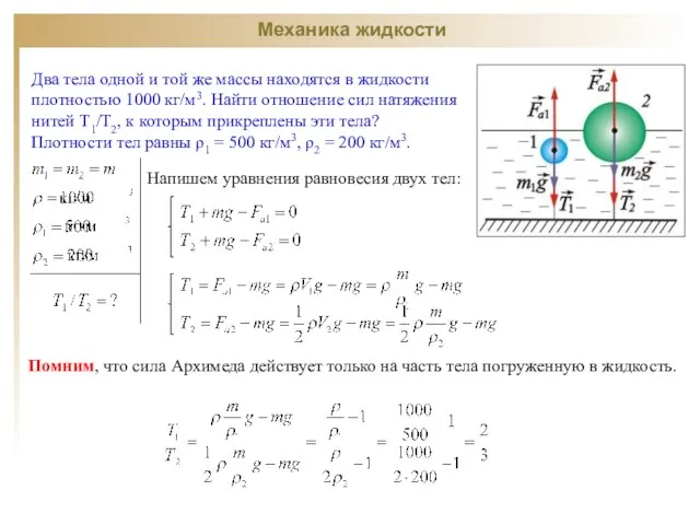 Механика жидкости Два тела одной и той же массы находятся в жидкости