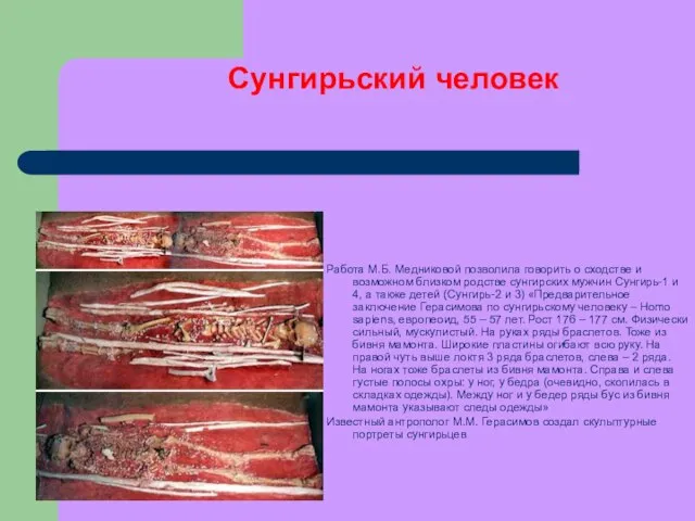 Сунгирьский человек Работа М.Б. Медниковой позволила говорить о сходстве и возможном близком