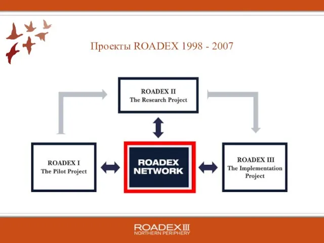 Проекты ROADEX 1998 - 2007