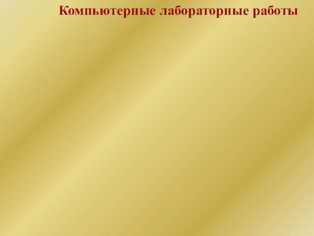 Компьютерные лабораторные работы