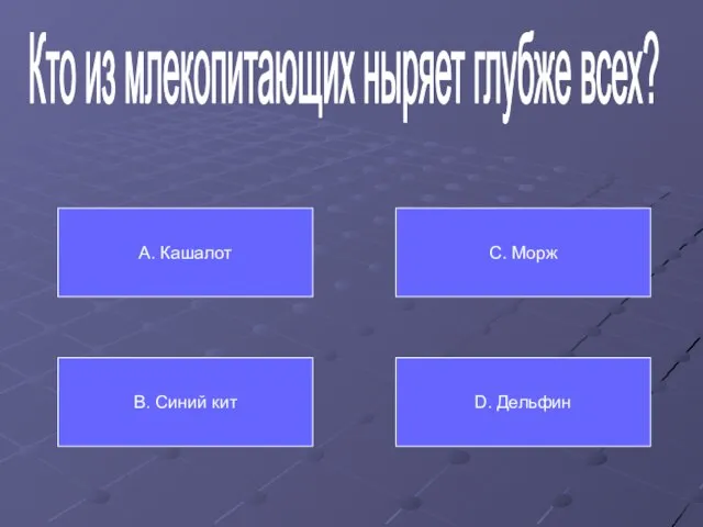 Кто из млекопитающих ныряет глубже всех? А. Кашалот В. Синий кит С. Морж D. Дельфин