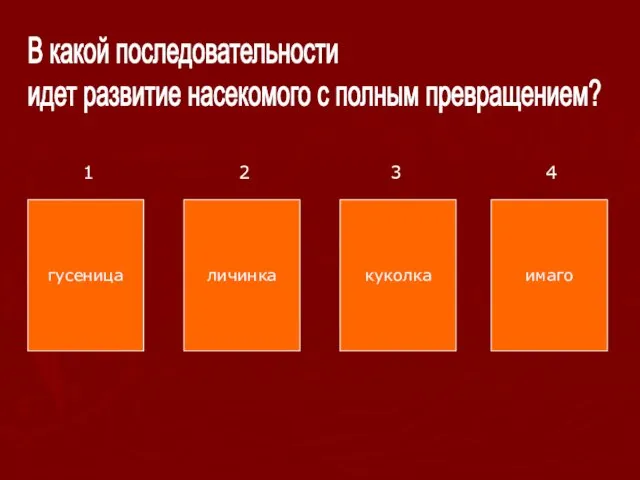 В какой последовательности идет развитие насекомого с полным превращением? гусеница личинка куколка