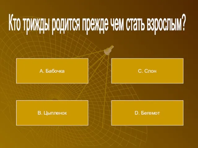 Кто трижды родится прежде чем стать взрослым? А. Бабочка В. Цыпленок С. Слон D. Бегемот