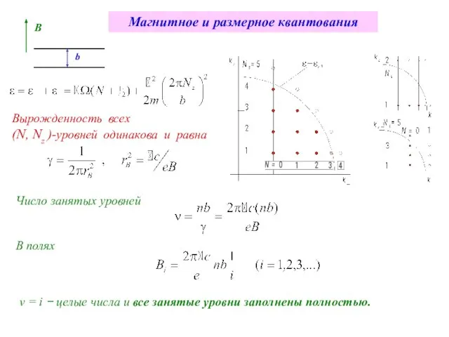 Магнитное и размерное квантования b B Вырожденность всех (N, Nz )-уровней одинакова