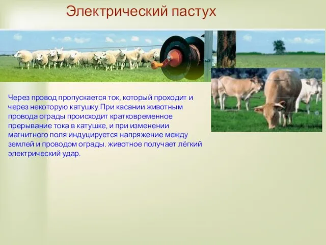 Электрический пастух Через провод пропускается ток, который проходит и через некоторую катушку.При