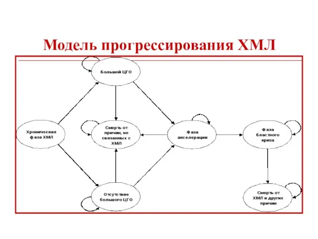 Модель прогрессирования ХМЛ