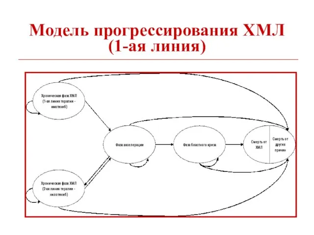 Модель прогрессирования ХМЛ (1-ая линия)