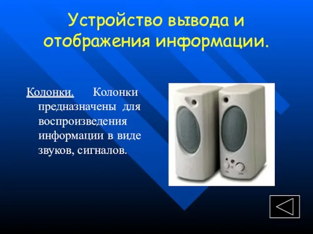 Устройство вывода и отображения информации. Колонки. Колонки предназначены для воспроизведения информации в виде звуков, сигналов.