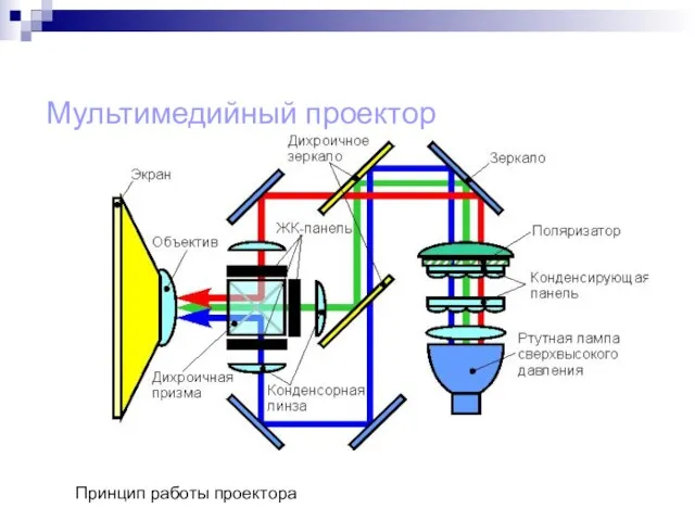 Мультимедийный проектор Принцип работы проектора