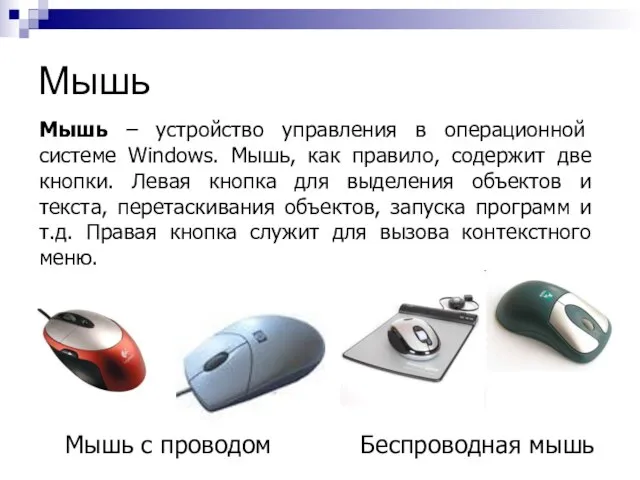 Мышь Мышь с проводом Беспроводная мышь Мышь – устройство управления в операционной