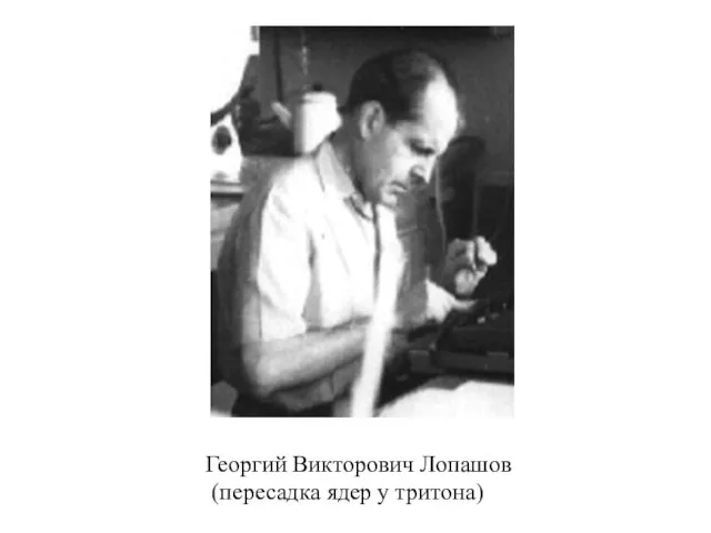 Георгий Викторович Лопашов (пересадка ядер у тритона)