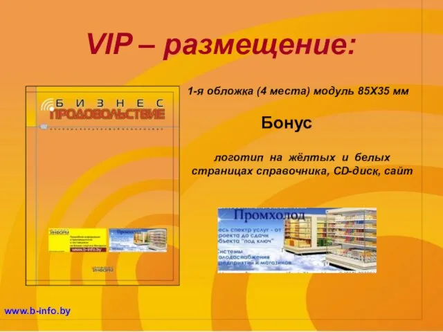 VIP – размещение: www.b-info.by 1-я обложка (4 места) модуль 85Х35 мм логотип