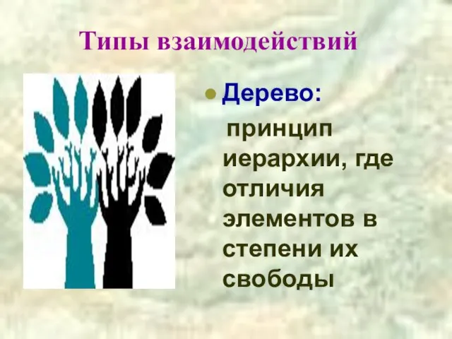 Типы взаимодействий Дерево: принцип иерархии, где отличия элементов в степени их свободы