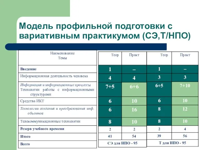 Модель профильной подготовки с вариативным практикумом (СЭ,Т/НПО)