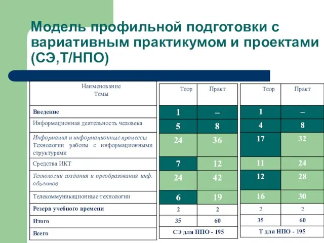 Модель профильной подготовки с вариативным практикумом и проектами (СЭ,Т/НПО)