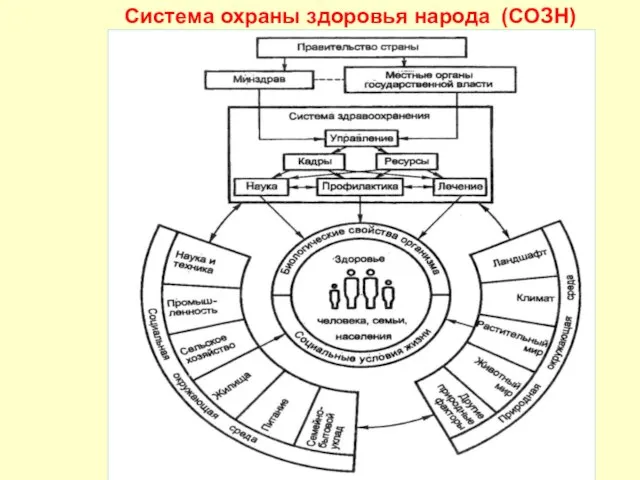 Система охраны здоровья народа (СОЗН)