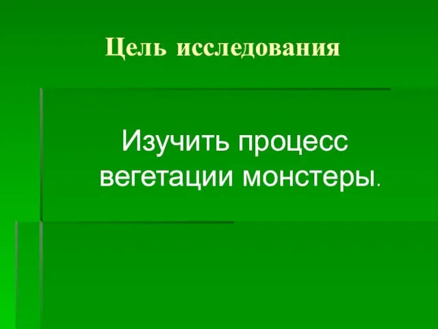 Цель исследования Изучить процесс вегетации монстеры.