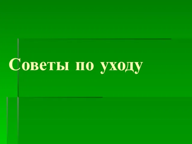 Советы по уходу