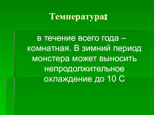 Температура: в течение всего года – комнатная. В зимний период монстера может