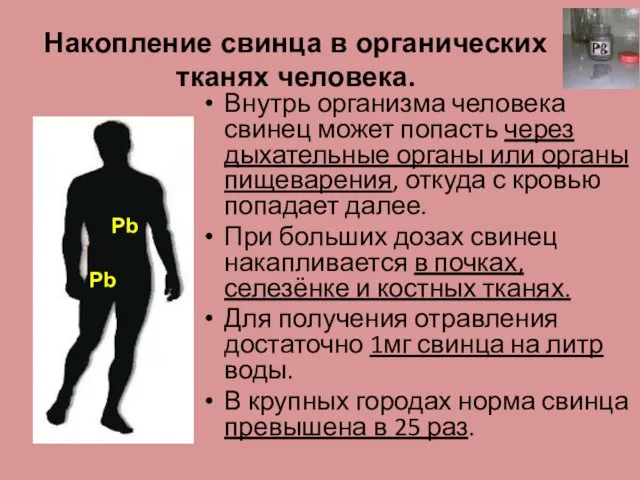 Накопление свинца в органических тканях человека. Pb Внутрь организма человека свинец может