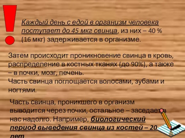 Каждый день с едой в организм человека поступает до 45 мкг свинца,