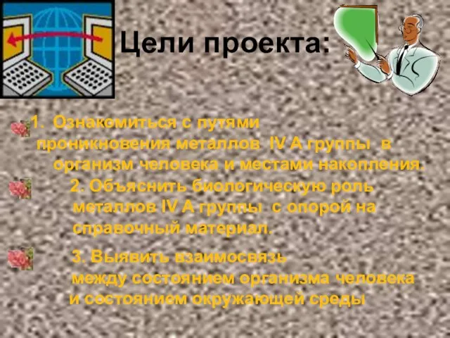 Цели проекта: 2. Объяснить биологическую роль металлов IV A группы с опорой