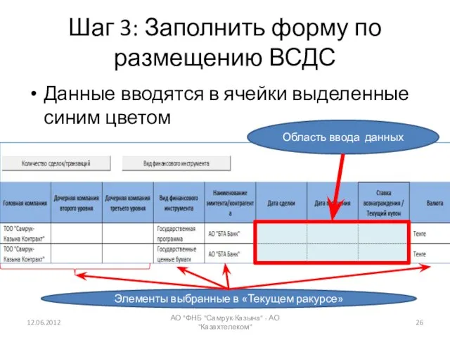 Шаг 3: Заполнить форму по размещению ВСДС Данные вводятся в ячейки выделенные