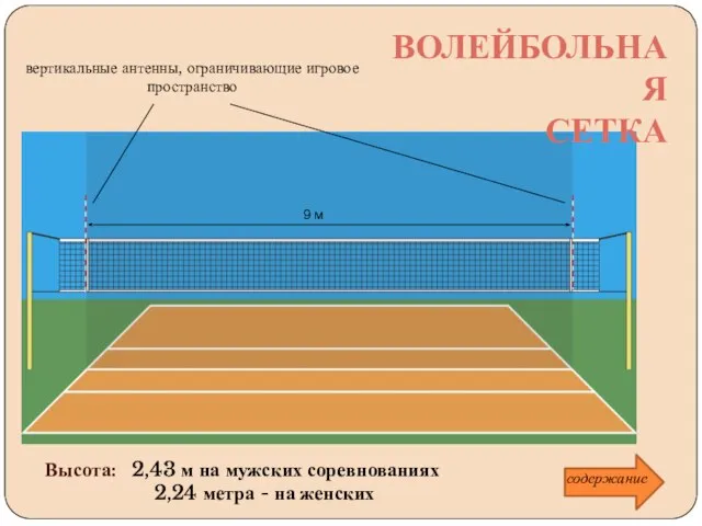 Высота: 2,43 м на мужских соревнованиях 2,24 метра - на женских вертикальные