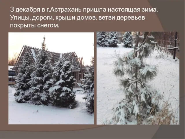 3 декабря в г.Астрахань пришла настоящая зима. Улицы, дороги, крыши домов, ветви деревьев покрыты снегом.