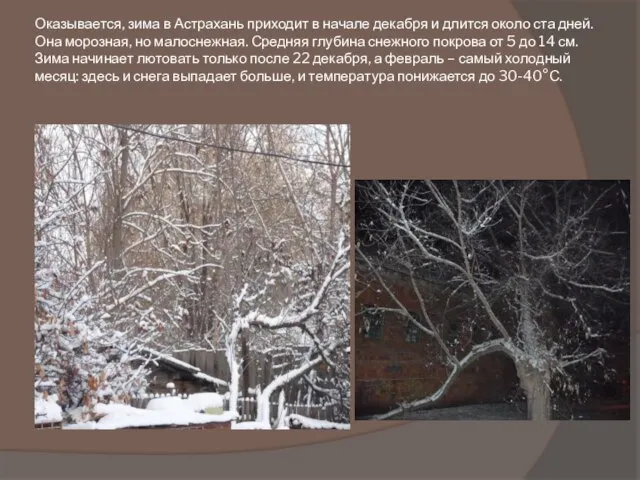 Оказывается, зима в Астрахань приходит в начале декабря и длится около ста