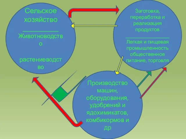 Сельское хозяйство __________ Животноводство растениеводство Производство машин, оборудования, удобрений и ядохимикатов, комбикормов