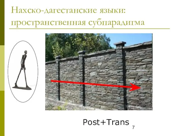 Нахско-дагестанские языки: пространственная субпарадигма Post+Trans