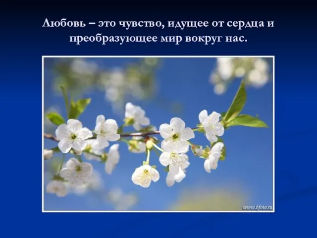 Любовь – это чувство, идущее от сердца и преобразующее мир вокруг нас.